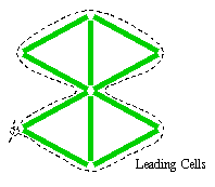 [Leading Cells]